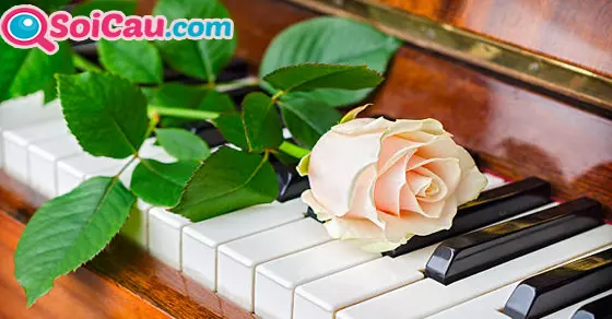 ngủ mơ thấy cây đàn đánh đề con gì?