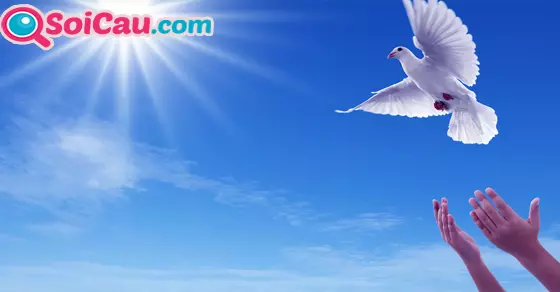 Thông điệp giấc mơ thấy chim người yêu câu