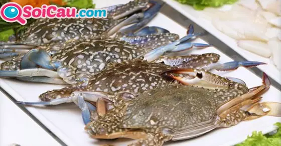 Giải mã giấc mơ thấy con ghẹ