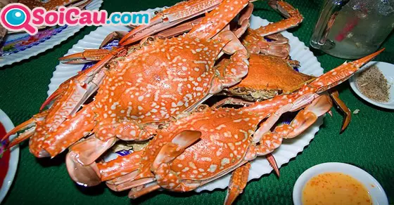Mơ thấy con ghẹ đánh đề con gì?