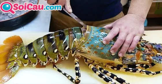 Ngủ nằm mộng thấy tôm rồng đánh số mấy?