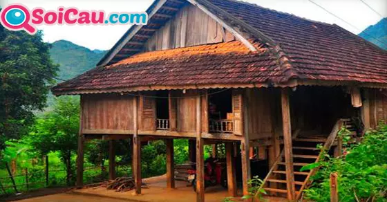 Thông điệp giấc mơ thấy nhà sàn