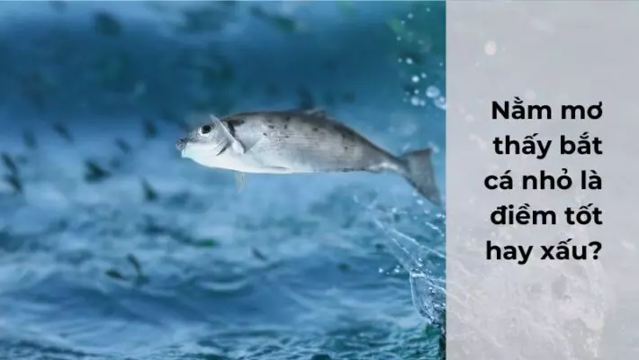 Ý nghĩa tâm linh khi nằm nằm mộng thấy cá