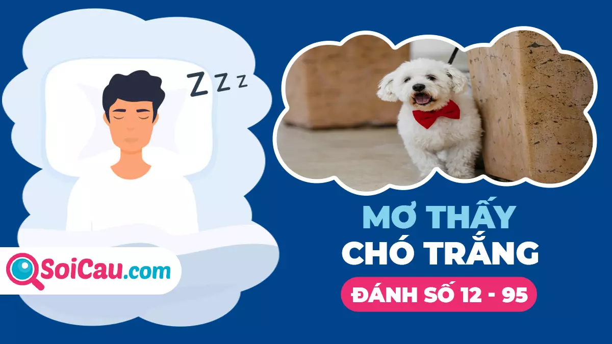 Mơ thấy chó trắng đánh con gì? Giải mã giấc mơ thấy chó trắng