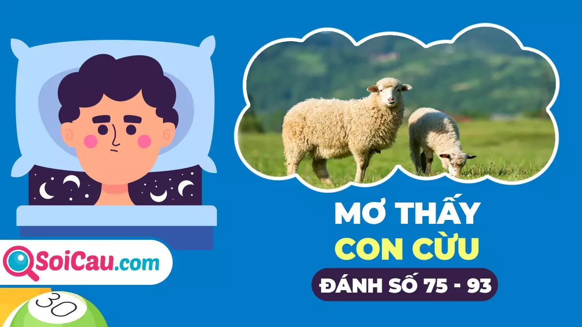 Ngủ mơ thấy con cừu số mấy? Điềm báo điều gì?