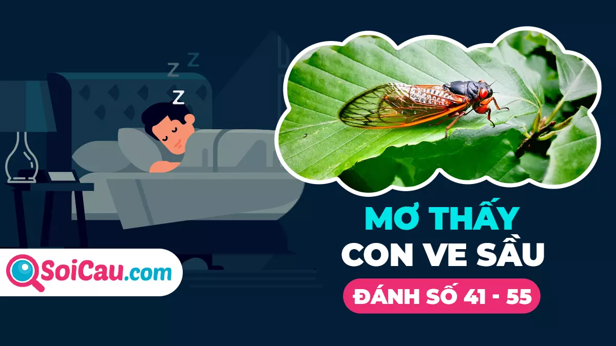 Ngủ mơ thấy con ve sầu số mấy? Mang điềm báo điều gì?