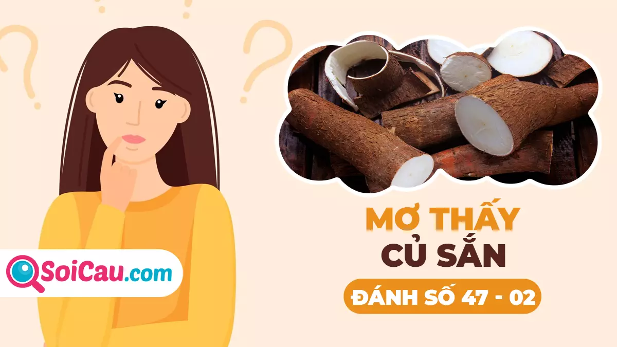 Ngủ mơ thấy củ sắn đánh con gì? Ý nghĩa giấc mơ thấy củ sắn