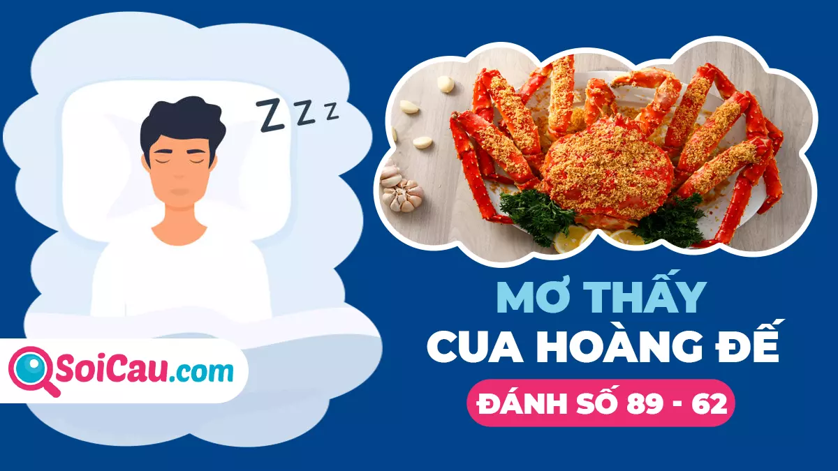 Ngủ mơ thấy cua hoàng tới đánh con gì? Điềm báo điều gì chuẩn nhất