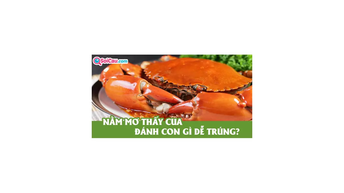 Mơ thấy cua đánh con gì? Mơ thấy cua là điềm gì?
