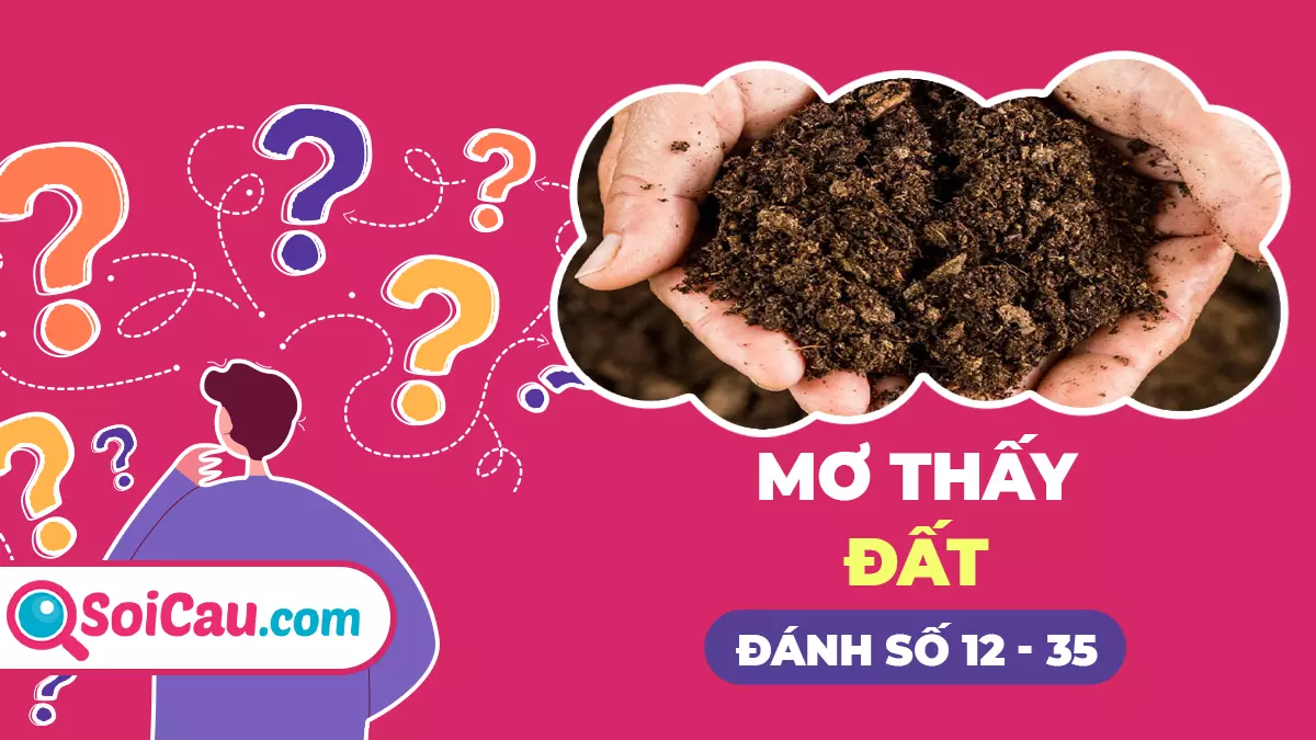 Nằm ngủ mơ thấy đất đánh con gì? Điềm báo điều gì chuẩn nhất