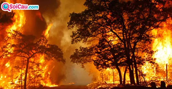 Điềm báo giấc mơ thấy lửa