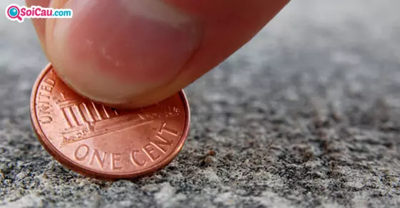 Giải mã giấc mơ thấy lượm được tiền