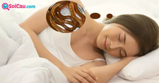 Giải mã giấc mơ thấy lươn