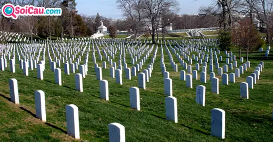 Mơ thấy nghĩa trang đánh số mấy?