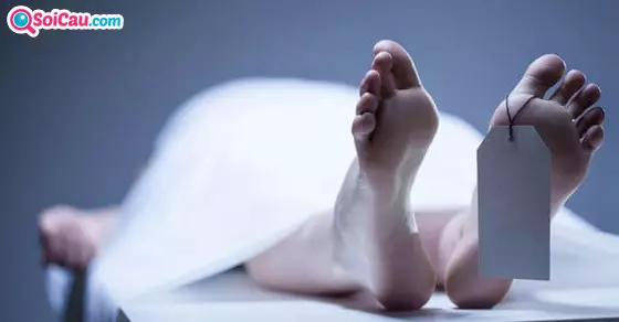 Mơ người thân chết đánh con gì?