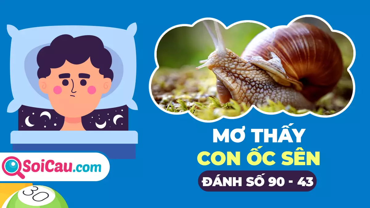 Mơ thấy ốc sên số mấy? Giải mã giấc mơ thấy ốc sên