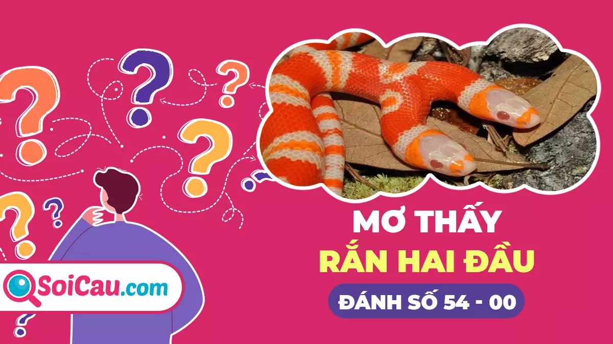 Mơ thấy rắn 2 đầu đánh con gì? Giải mã giấc mơ thấy rắn hai đầu