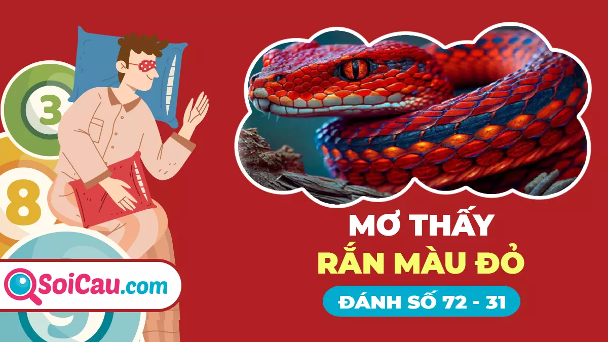 Mơ thấy rắn màu đỏ đánh con gì? Giải mã giấc mơ thấy rắn màu đỏ