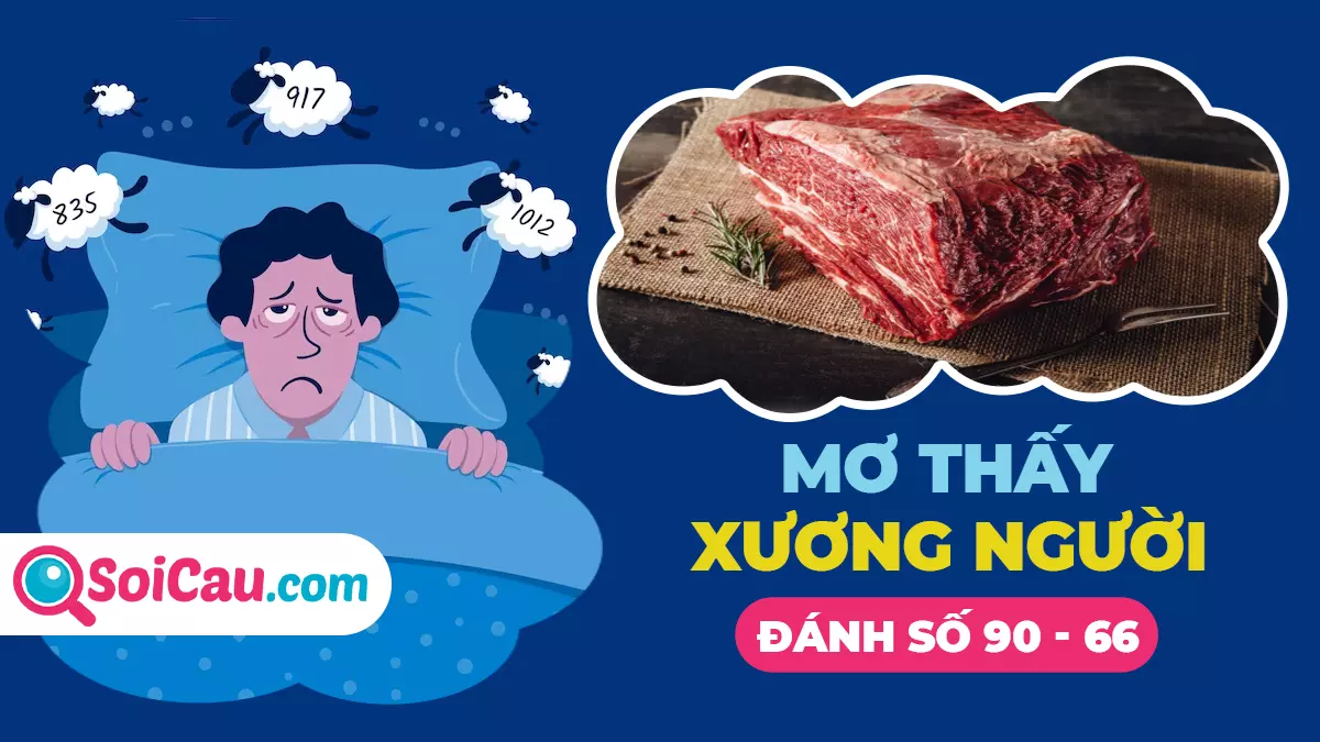 Mơ thấy thịt bò đánh con gì? Ý nghĩa giấc mơ thấy thịt bò