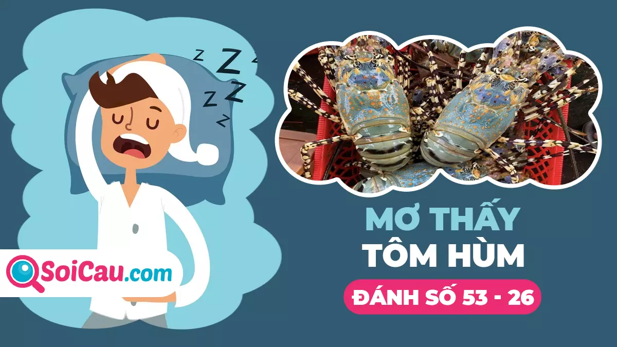 Nằm nằm mộng thấy tôm rồng đánh con gì?