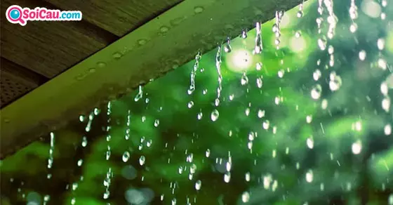Mơ thấy trời mưa là điềm gì?