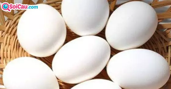 Mơ thấy trứng vịt là số mấy?