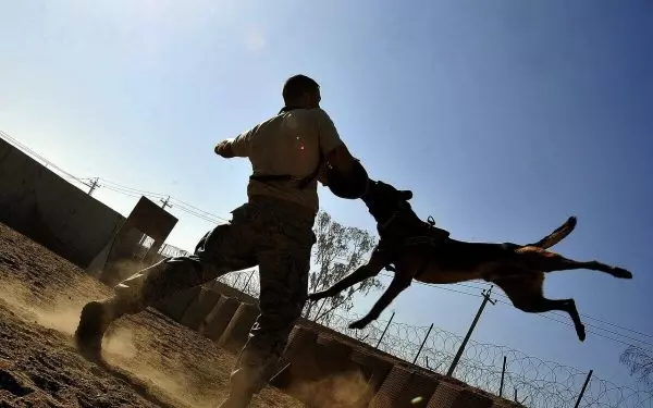 Giấc mơ này nhắc bạn nên thận trọng về những phiền toái sắp tới