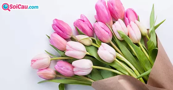 mơ thấy hoa là điềm gì?