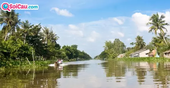 mơ thấy sông nước đánh số gì?