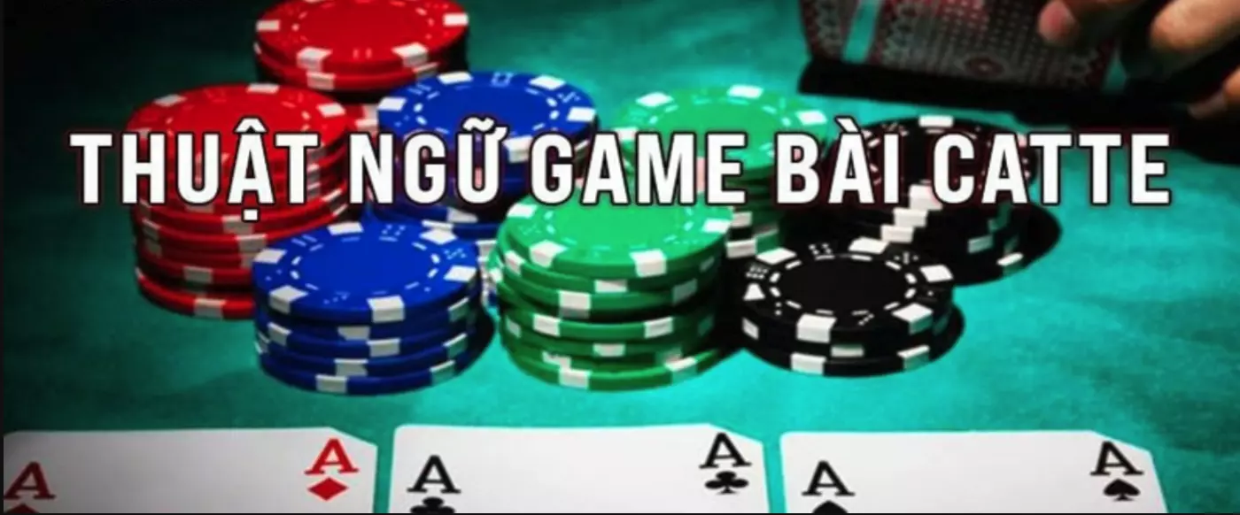 Thuật ngữ game catte