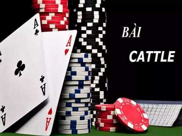 giảng giải mẹo chơi bài catte