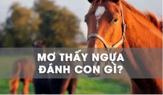 Đàn ông ngủ mơ thấy ngựa báo hiệu điều gì? Đánh con gì?